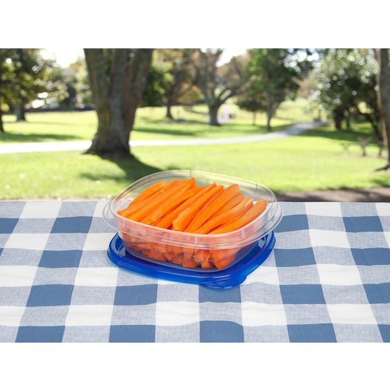 Square Take Along Food Conatiner Bowls (Pack of 4)