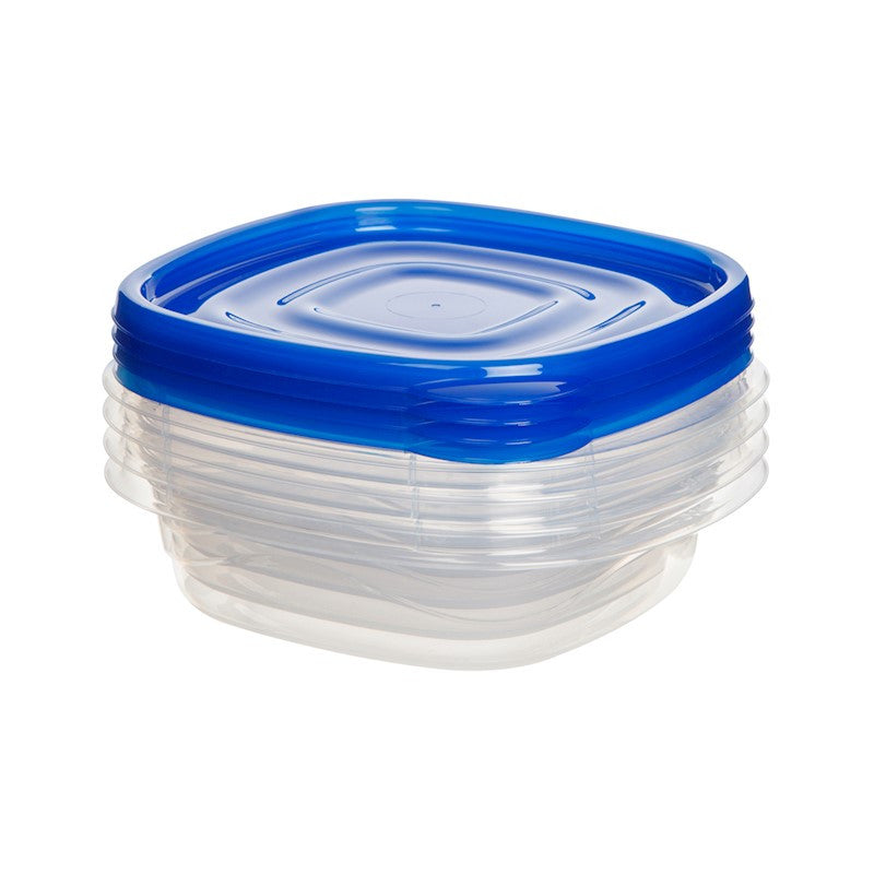 Square Take Along Food Conatiner Bowls (Pack of 4)
