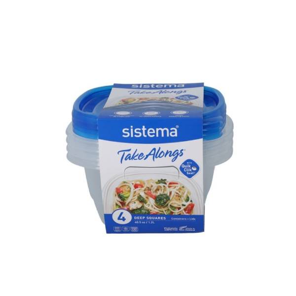 Square Take Along Food Conatiner Bowls (Pack of 4)